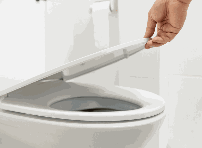 Capac WC cu închidere lentă sau unul obișnuit? Verificăm plusurile și minusurile ambelor variante!