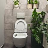 Toilet bowl Rea Carlo Mini Tornado Rimless Flat N