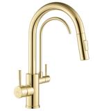 Küchearmatur Rea Eco Fresh GOLD