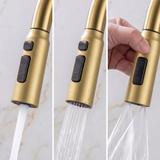 Multifunktionale 10-in-1-Stahlspüle REA Alonzo Brush Gold