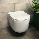 Toilet bowl Rea Eddy Tornado Rimless Flat N
