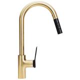 Virtuves maisītājs Rea SOUL Black/Gold Brushed