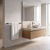 Badezimmer-Aufhänger 64101 SOLO Titan