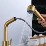Grifo para cocina REA Troy oro cepillado