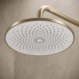 Kit de douche Rea Foss Clif Brush Gold