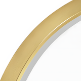 Spiegel LED OVL 50x100cm Gold