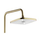 Shower set REA STORM GOLD BRUSH
