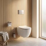 Montagerahmen Unterputz-Set Slim 024N für WC-Becken mit Drucktaste T Gebürsteter Stahl