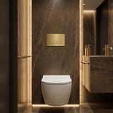 Gestell Unterputz-Set Slim 024N für WC-Becken mit HD-Drücker Gold