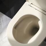 toilet bowl REA Focus Tornado Creme