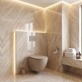 toilet bowl REA Focus Tornado Taupe