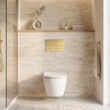 Gestell Unterputz-Set Slim 024N für WC-Becken mit T-Taste Gold Gebürstet