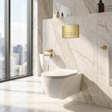 Gestell Unterputz-Set Slim 024N für WC-Becken mit HD-Drücker Gold