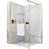 Duschwand Rea Aero Gold Brush N 100 Walk In + EVO