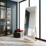 Veidrodis LED Classico 60x170cm Brush Gold