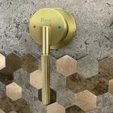 Inbyggd blandare Rea Argon borstat guld + BOX