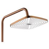 Duschset REA ARGUS Borstad Koppar