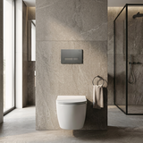 Montagerahmen Unterputz-Set Slim 024N für WC-Becken mit Drucktaste HD Tytan