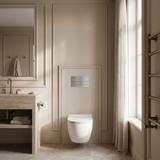 Montagerahmen Unterputz-Set Slim 024N für WC-Becken mit Drucktaste T Gebürsteter Stahl