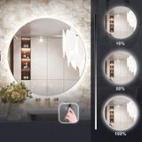 Mirror LED 80cm HZJ080