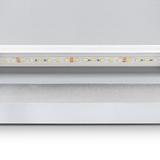 Spiegel LED 80x60cm P10407