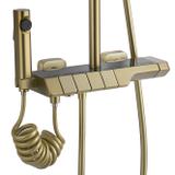 Σετ ντουζιέρας με θερμοστάτη REA ROB Brushed Gold