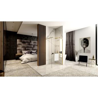 Rea Aero Złota N 100 Walk In dušo sienelė su lentyna ir Evo kabykla