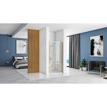 Shower door REA Rapid Slide 120 Gold
