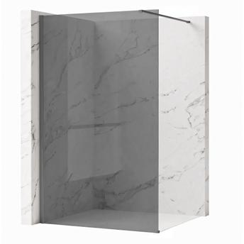 Tuš zaslon Rea Flexi Grey / Titan 120
