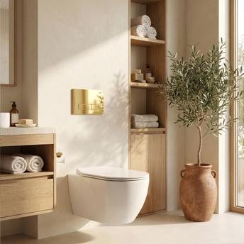 Σετ Εντοιχιζόμενου Πλαισίου WC Slim 024N με Κουμπί HD Gold