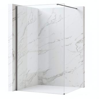 Tuš zaslon Rea Flexi Transparent / Titan 130