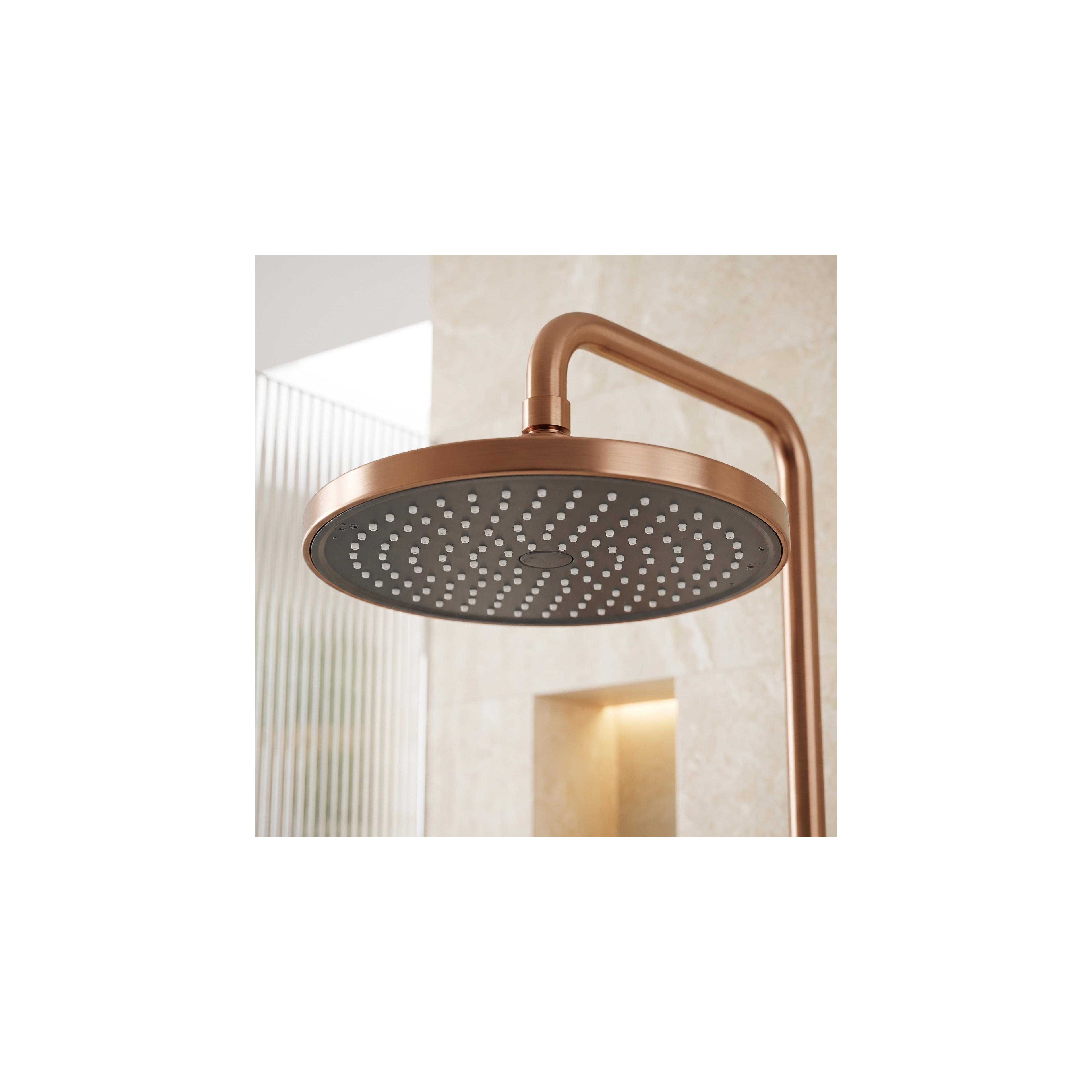 Set dus PREMIUM Rea Maxim Brush Copper