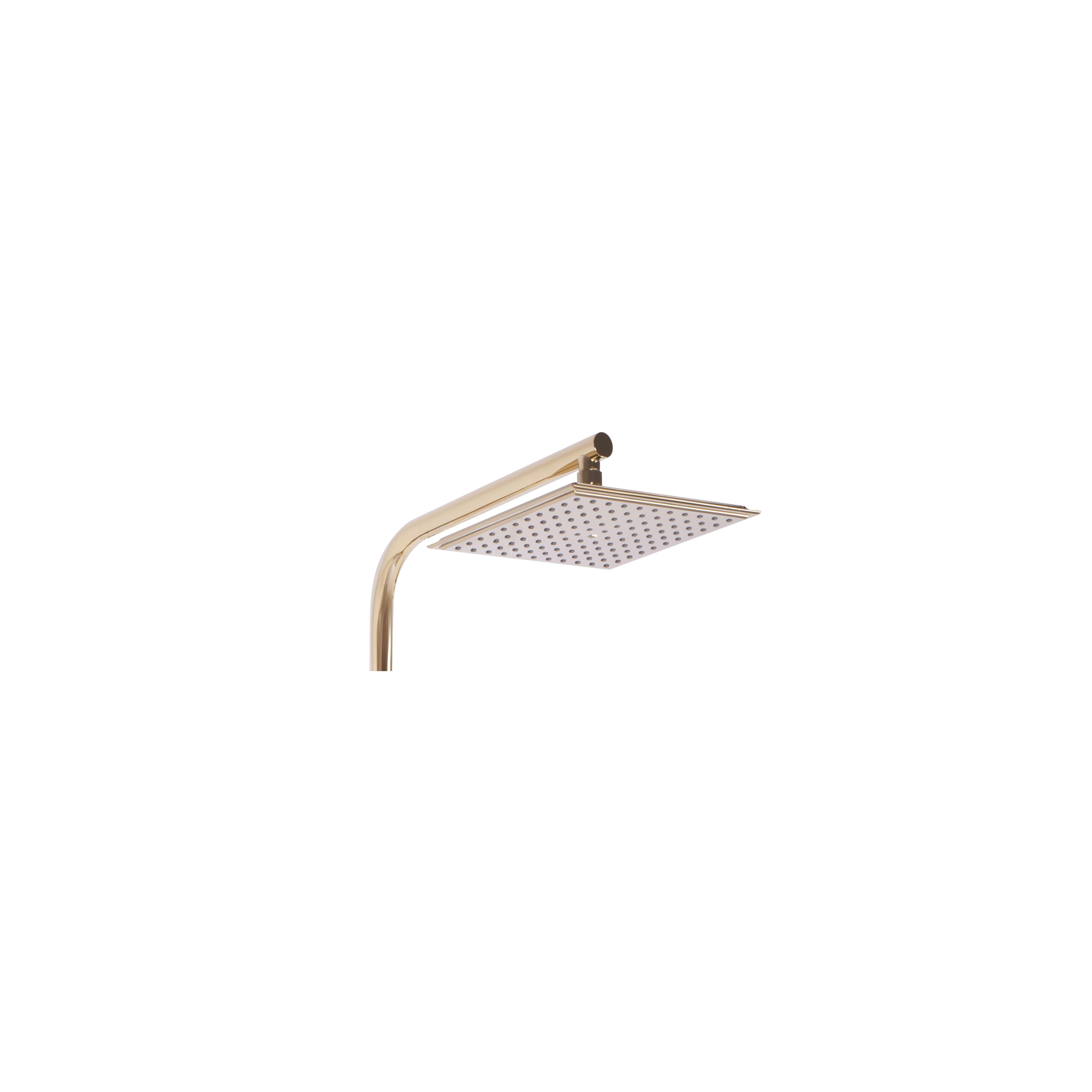 Conjunto de ducha REA Bravo Gold