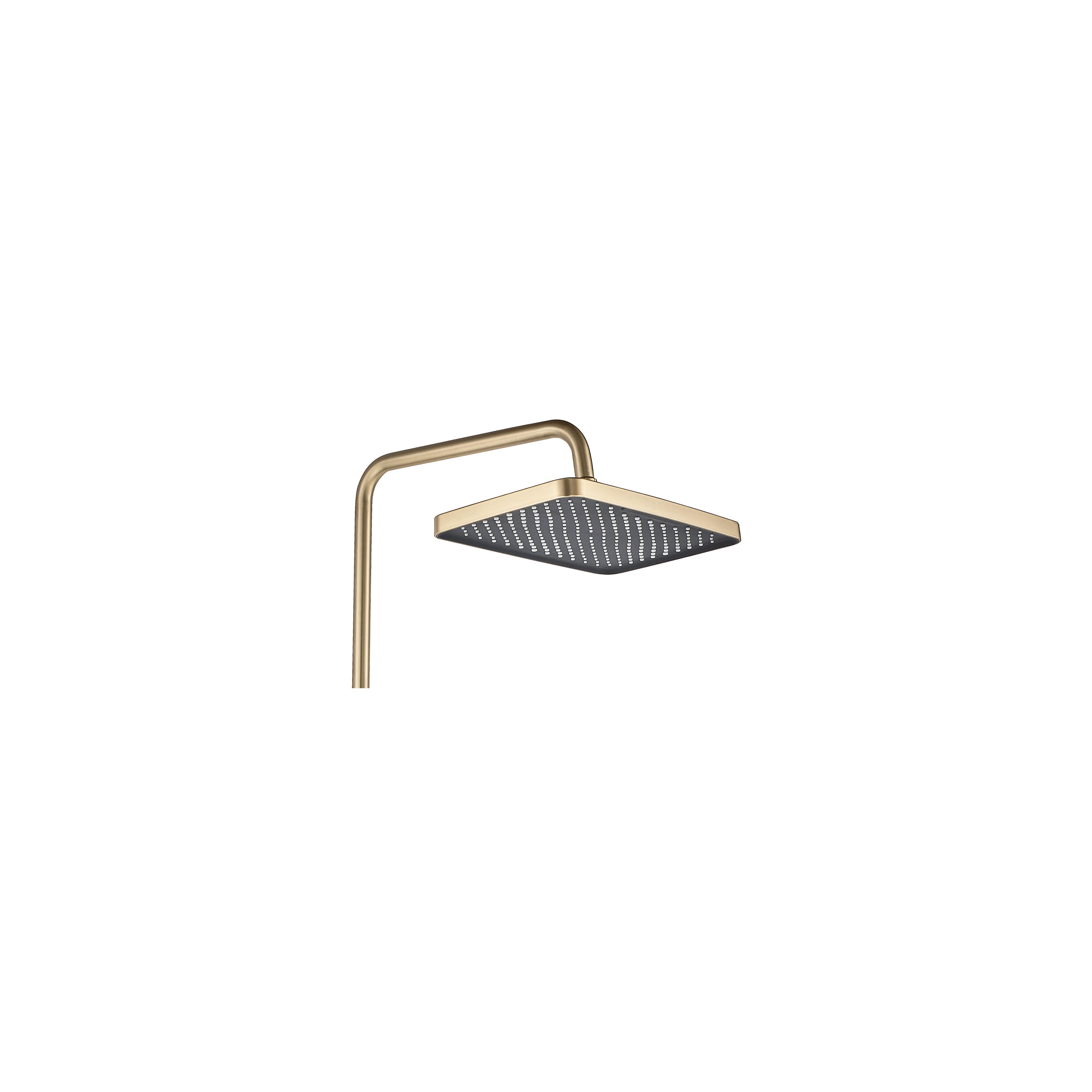 Duschset Rea JOE Borstad Guld