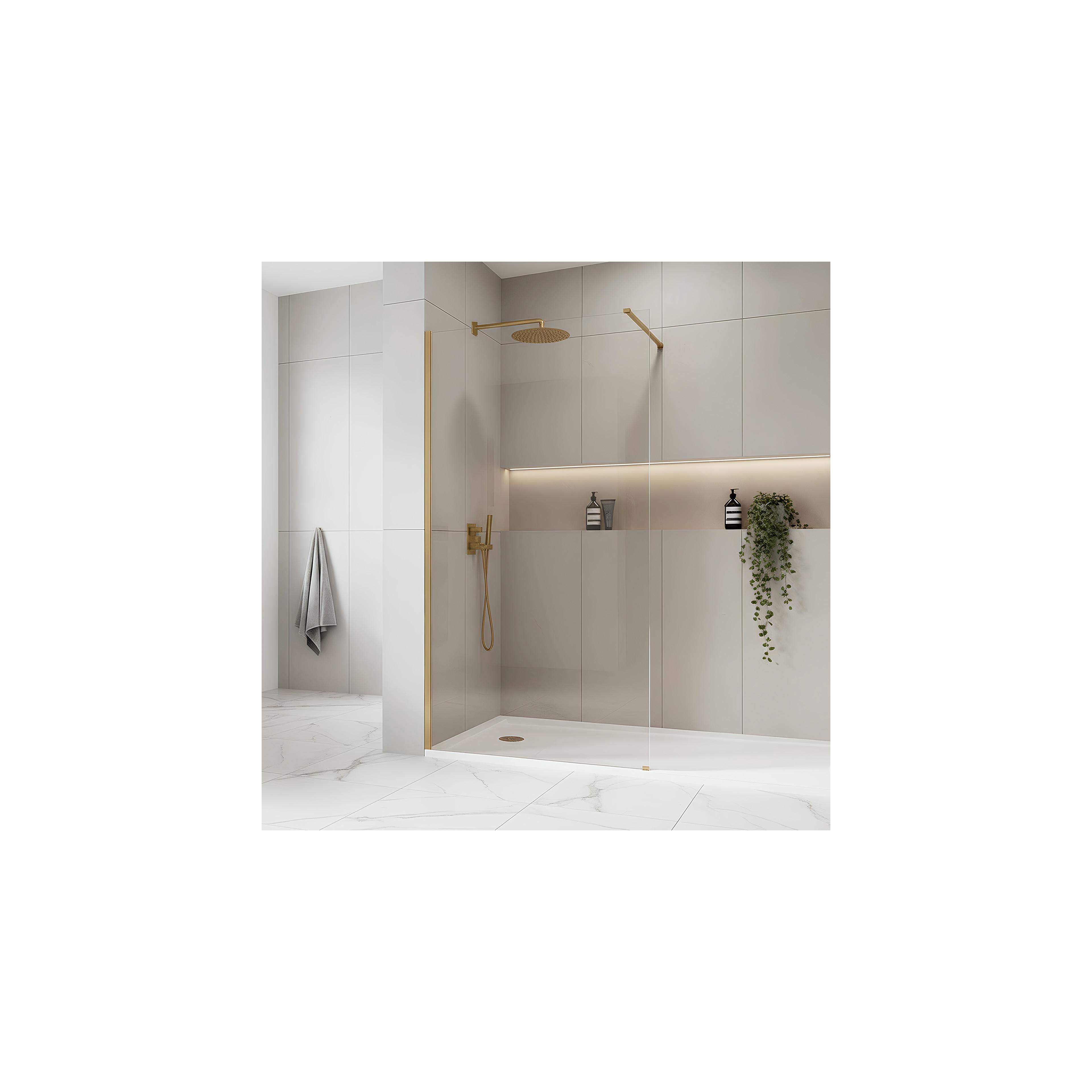 Duschwand Rea Flexi Transparent / Brush Gold 80
