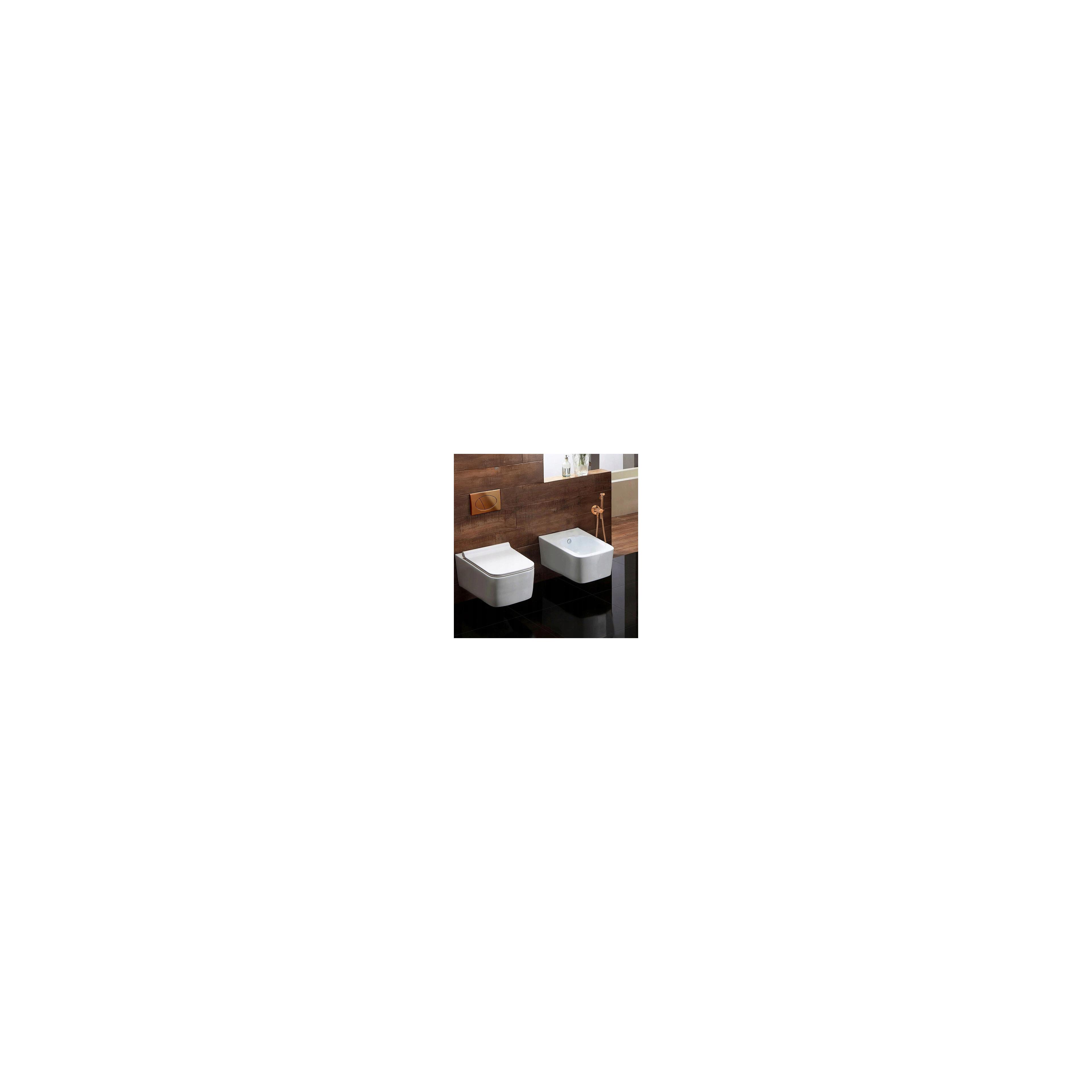 Bidetarmatur  Lungo Loop Copper Brush