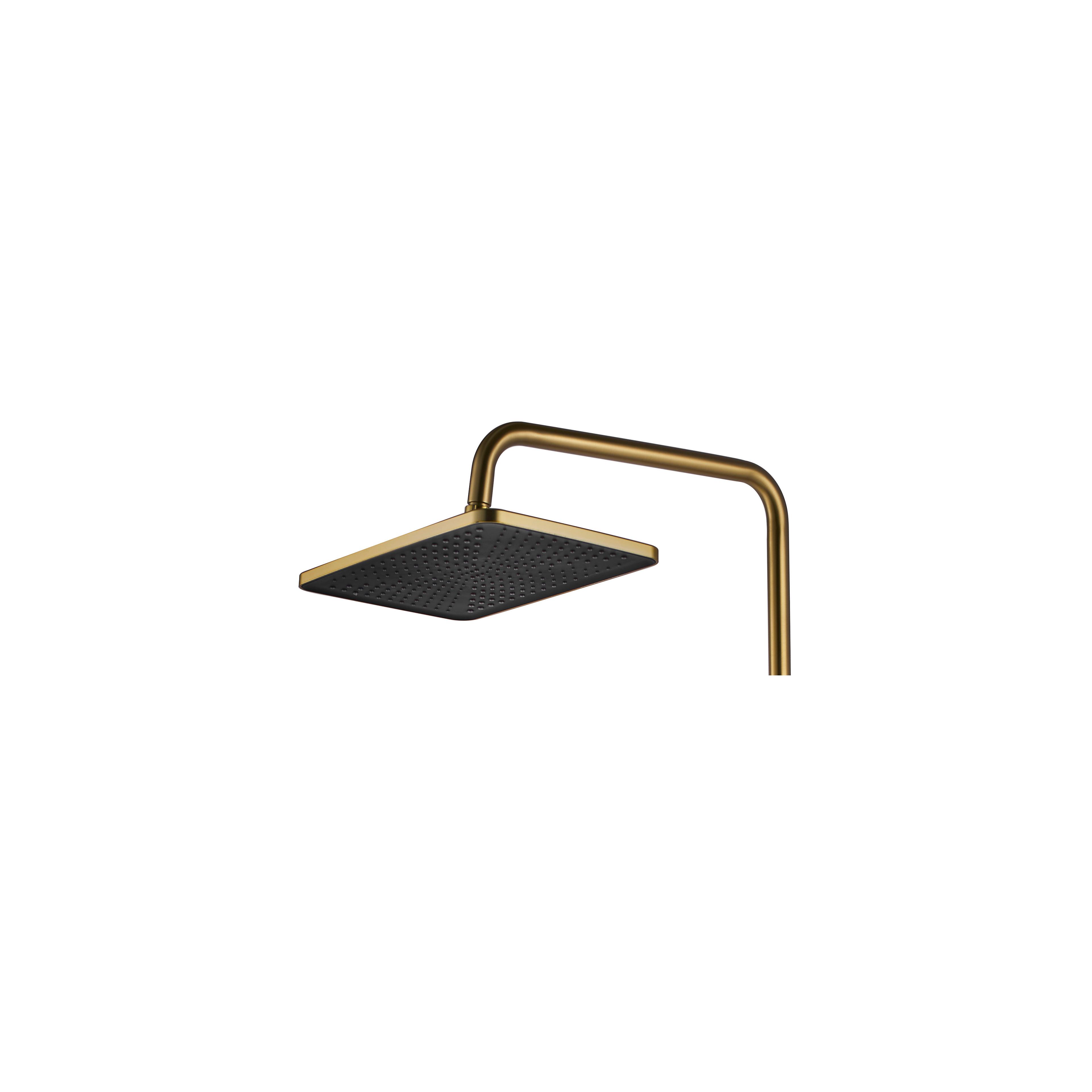 Σετ ντουζιέρας με θερμοστάτη REA ROB Brushed Gold