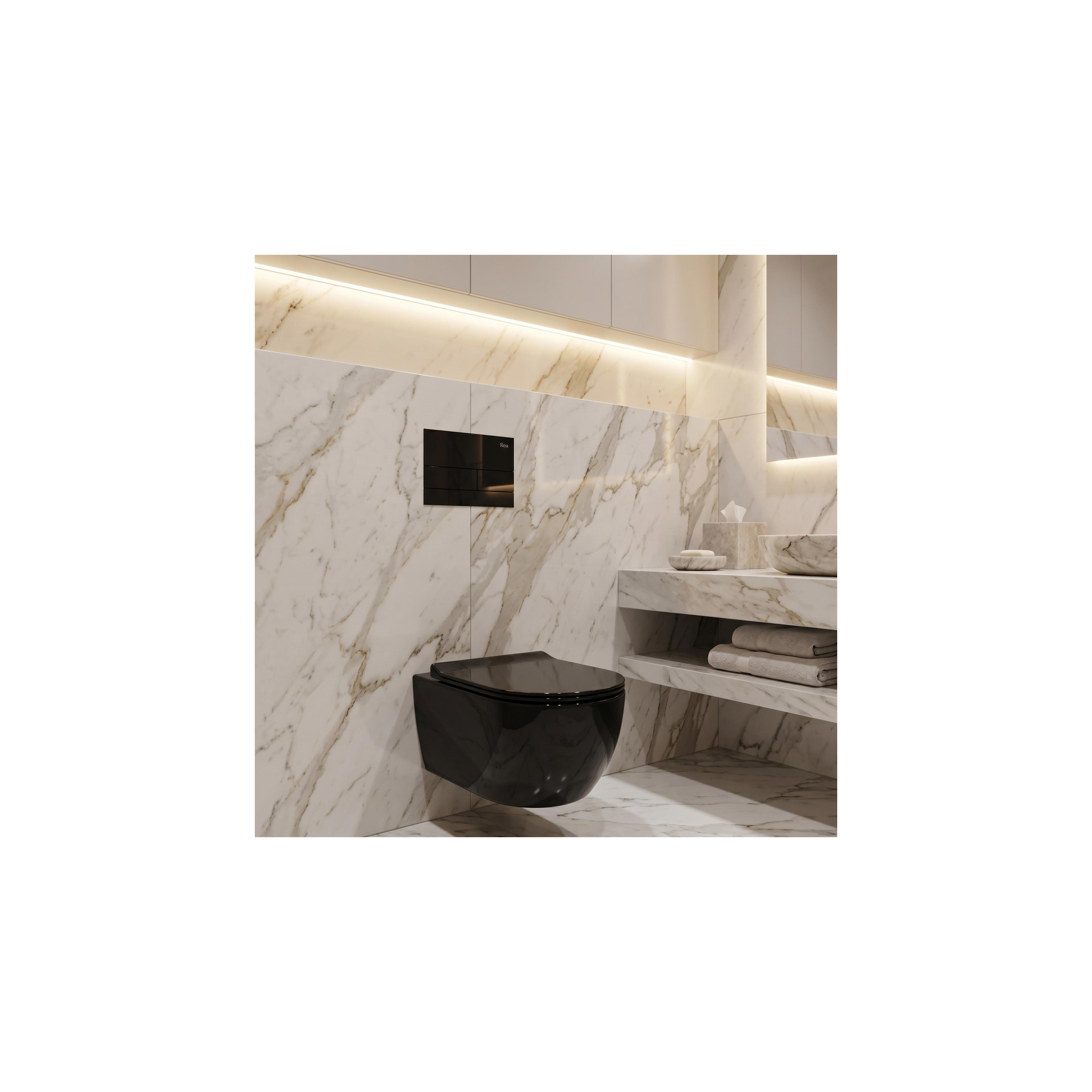 Concealed WC Frame Set Slim 024N with T White Glass Button