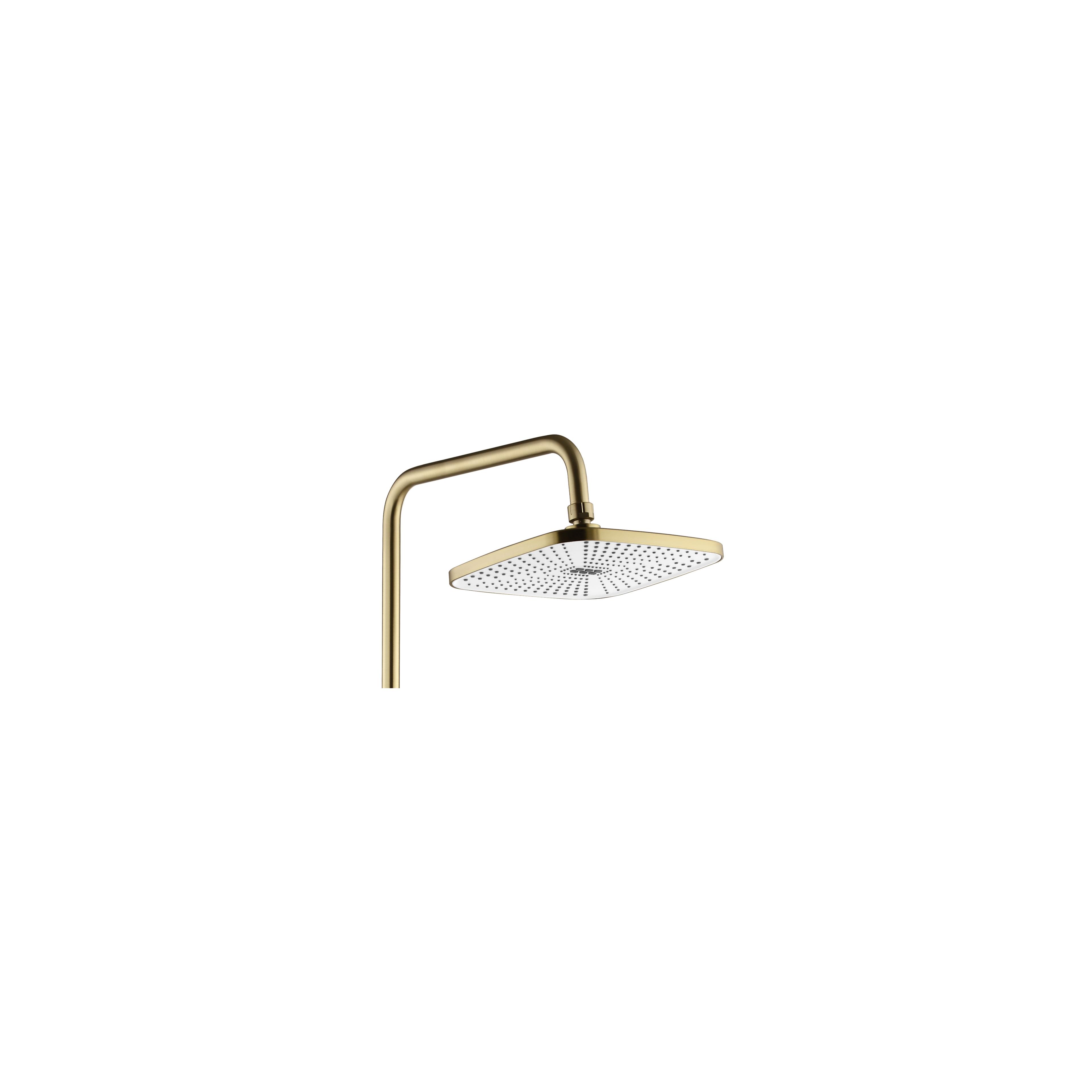Shower set REA STORM GOLD BRUSH