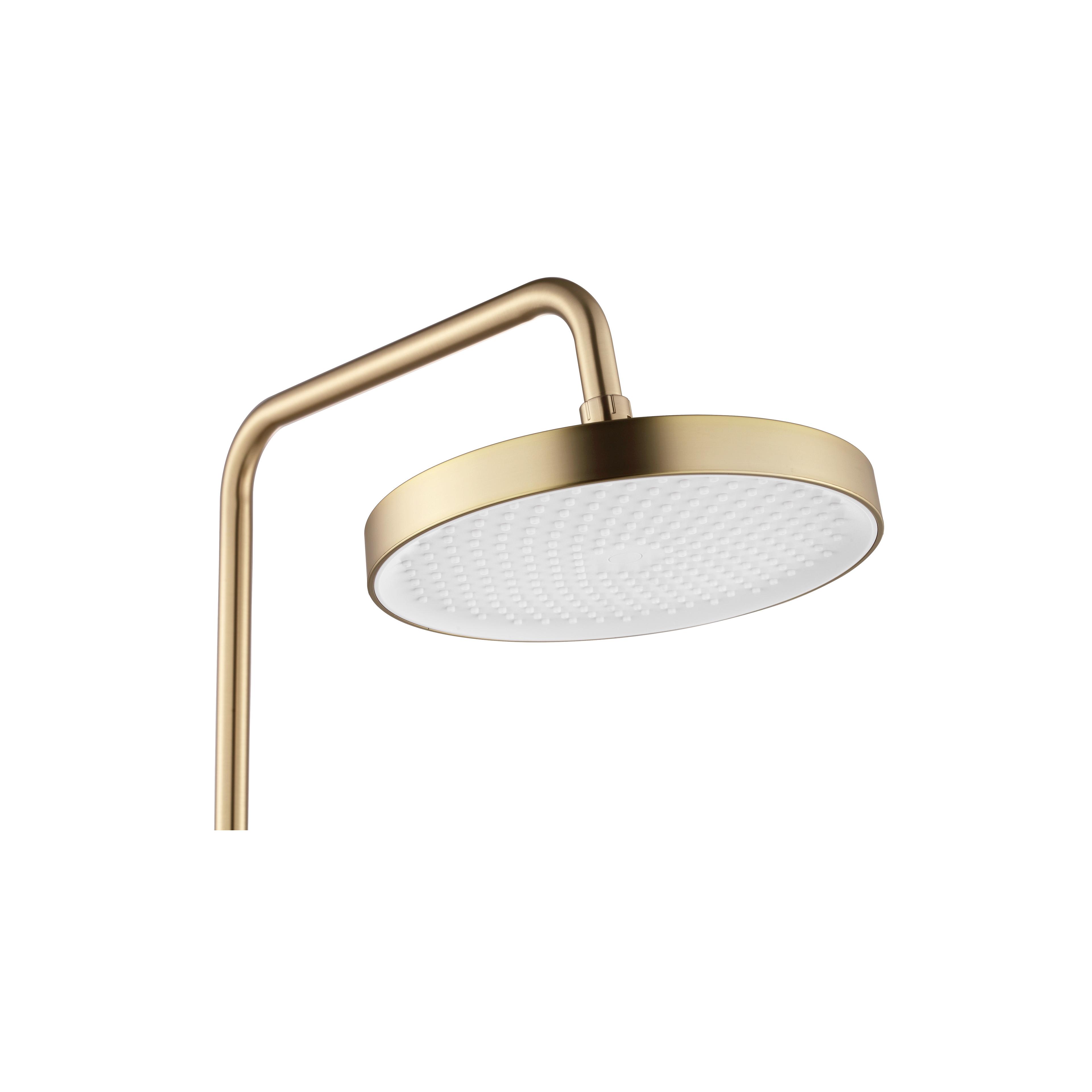 Duschset Rea Veneta Borstad Guld