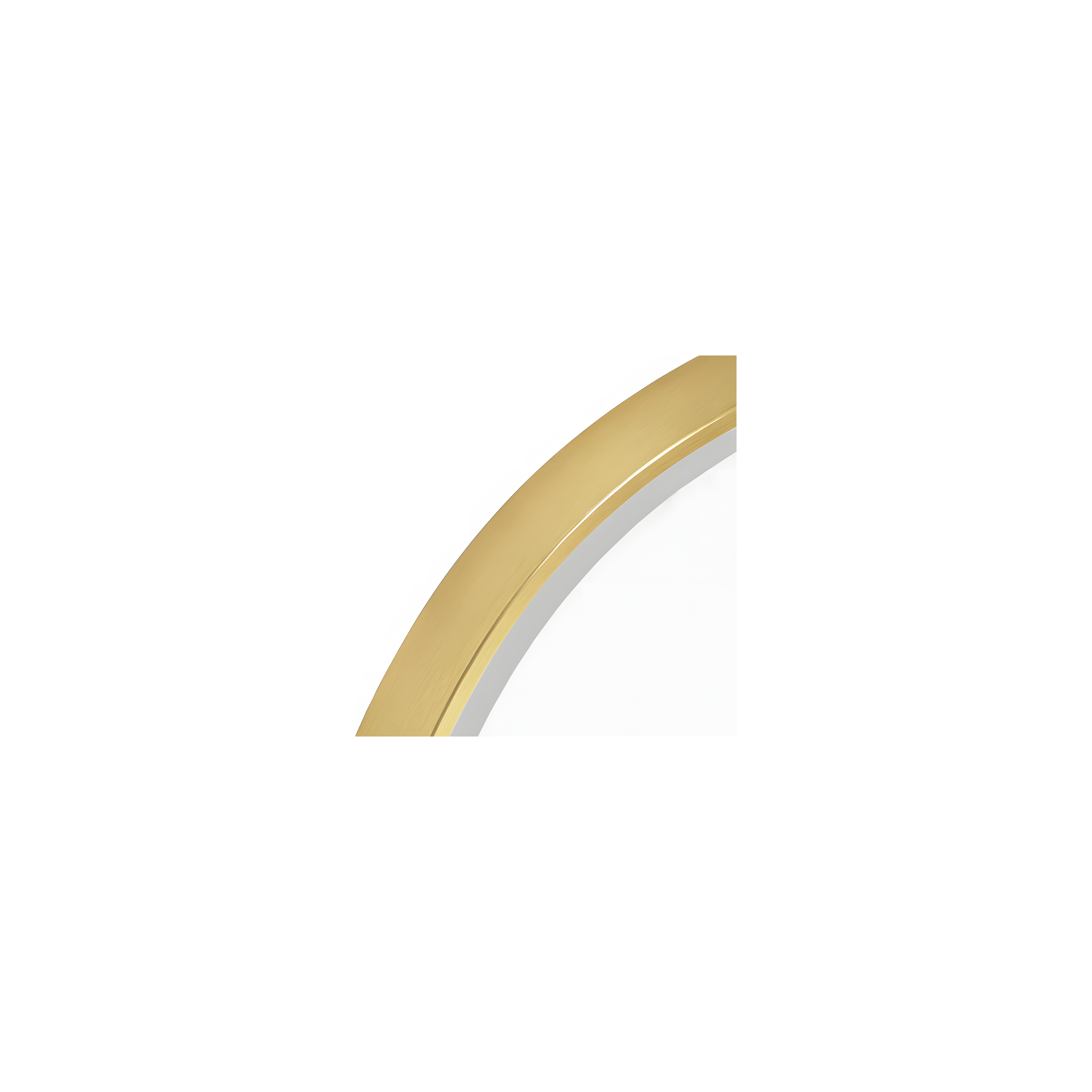 Spiegel LED OVL 50x100cm Gold