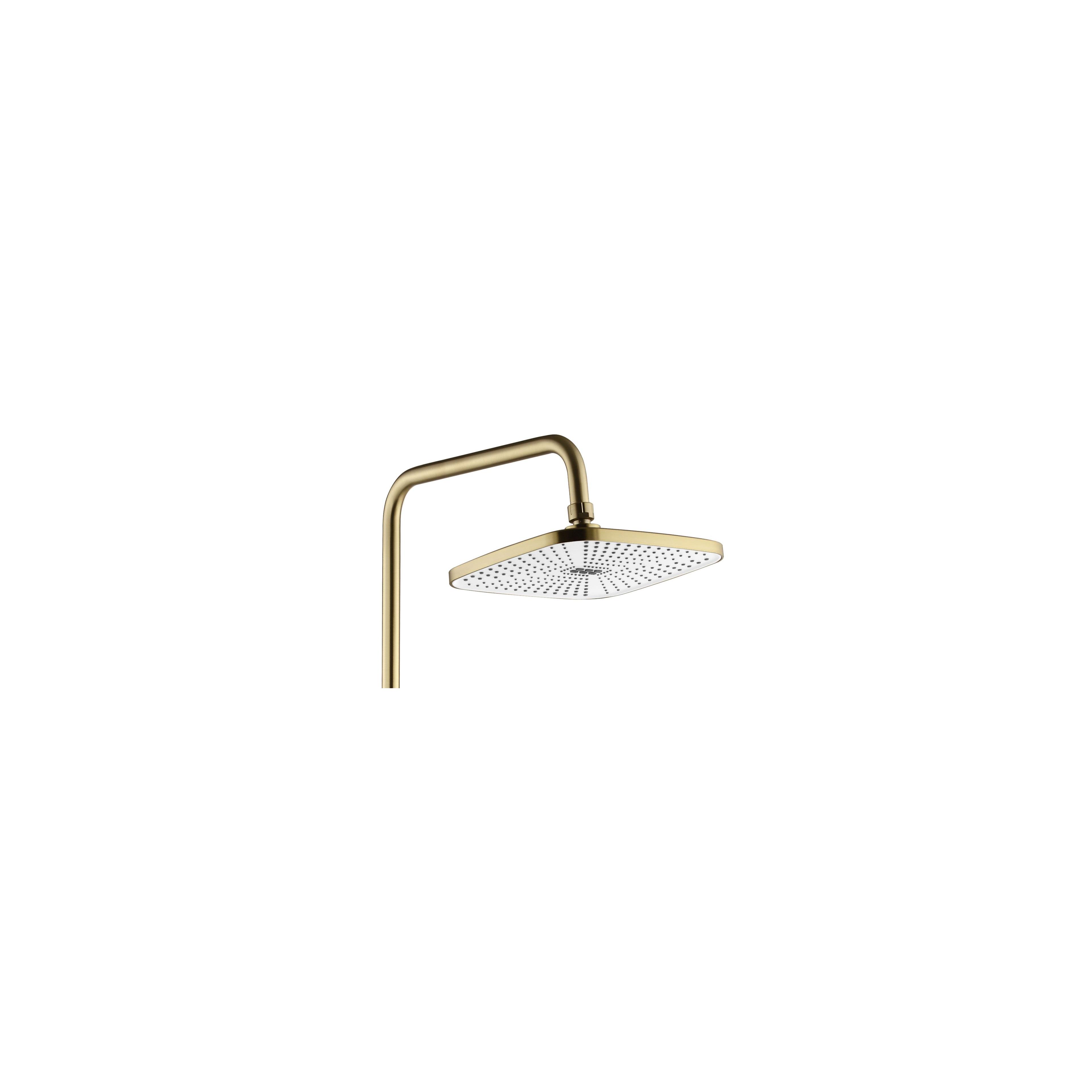 Shower set REA STORM GOLD BRUSH