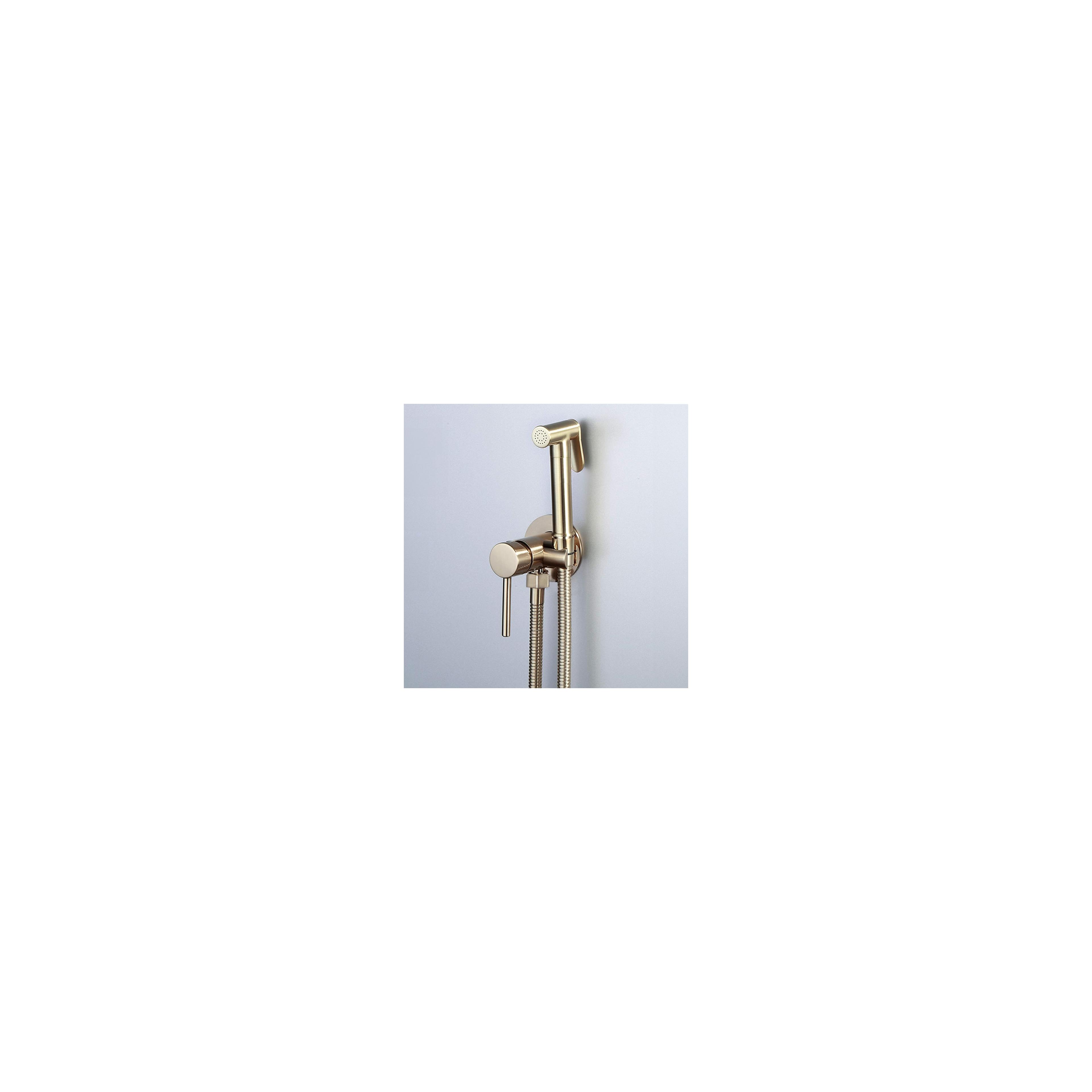 Bidet faucet  Lungo Loop Gold Brush
