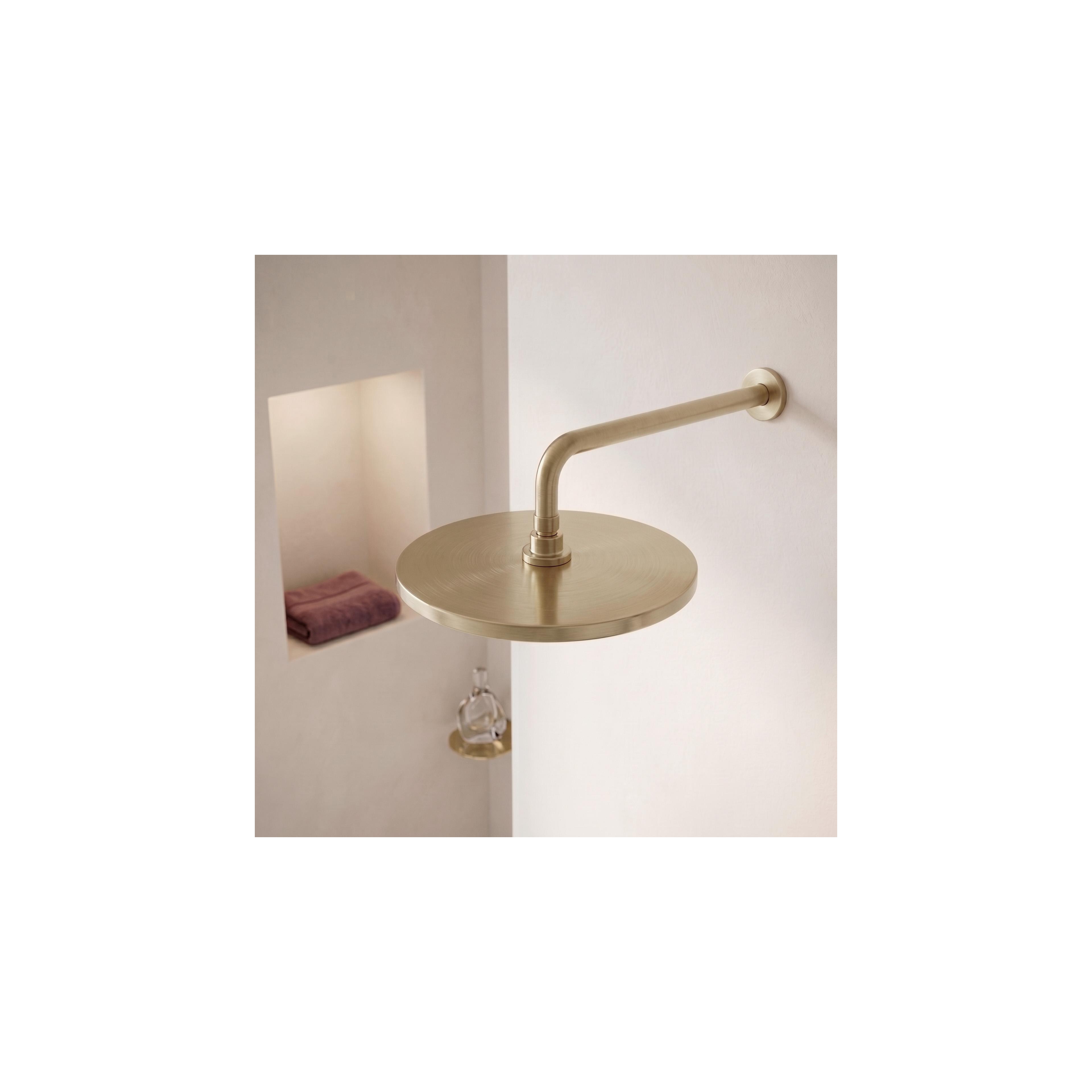 Okrugla tuš ruža REA JS-021 Gold Brush