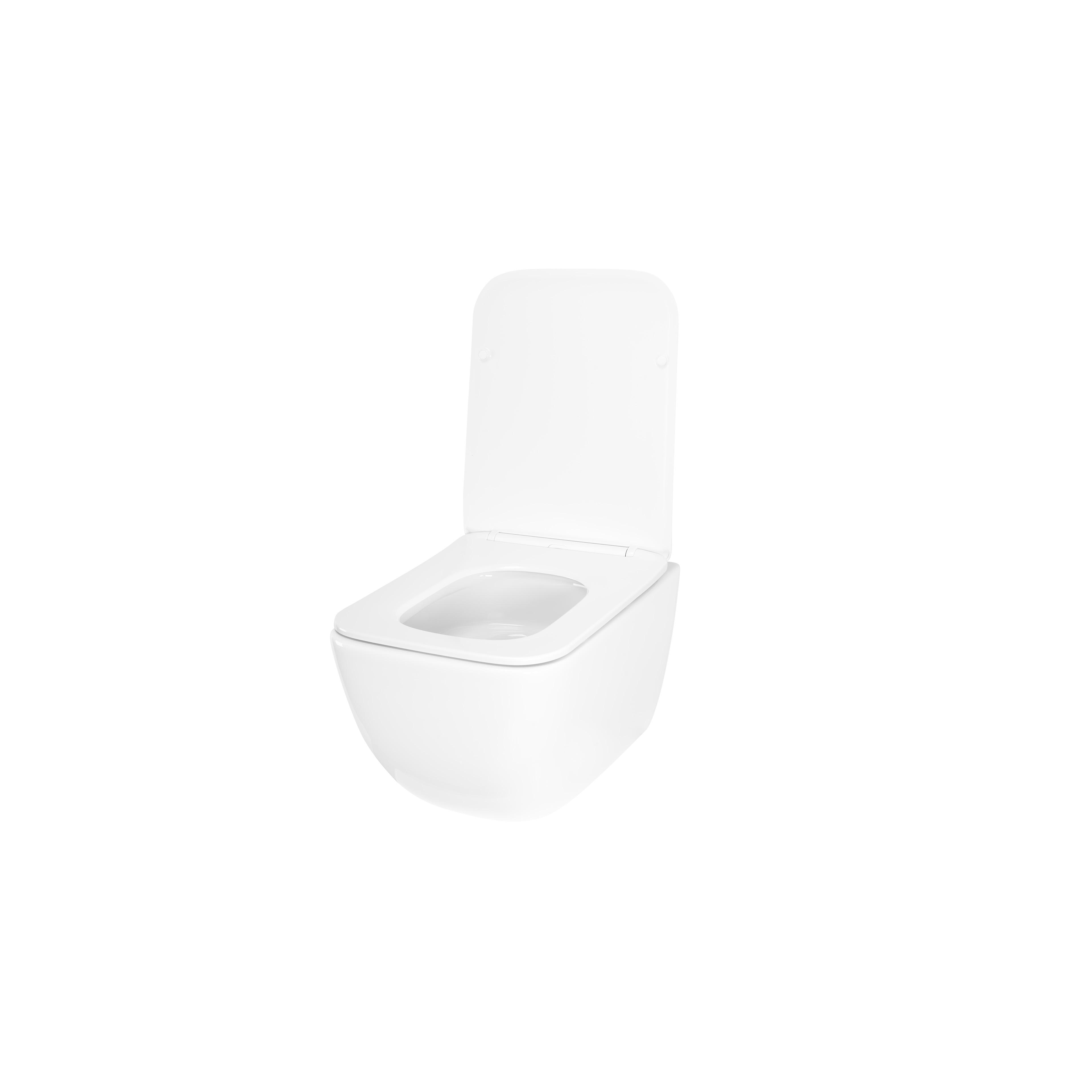 WC Schüssel Randlos Rea Dexter Tornado