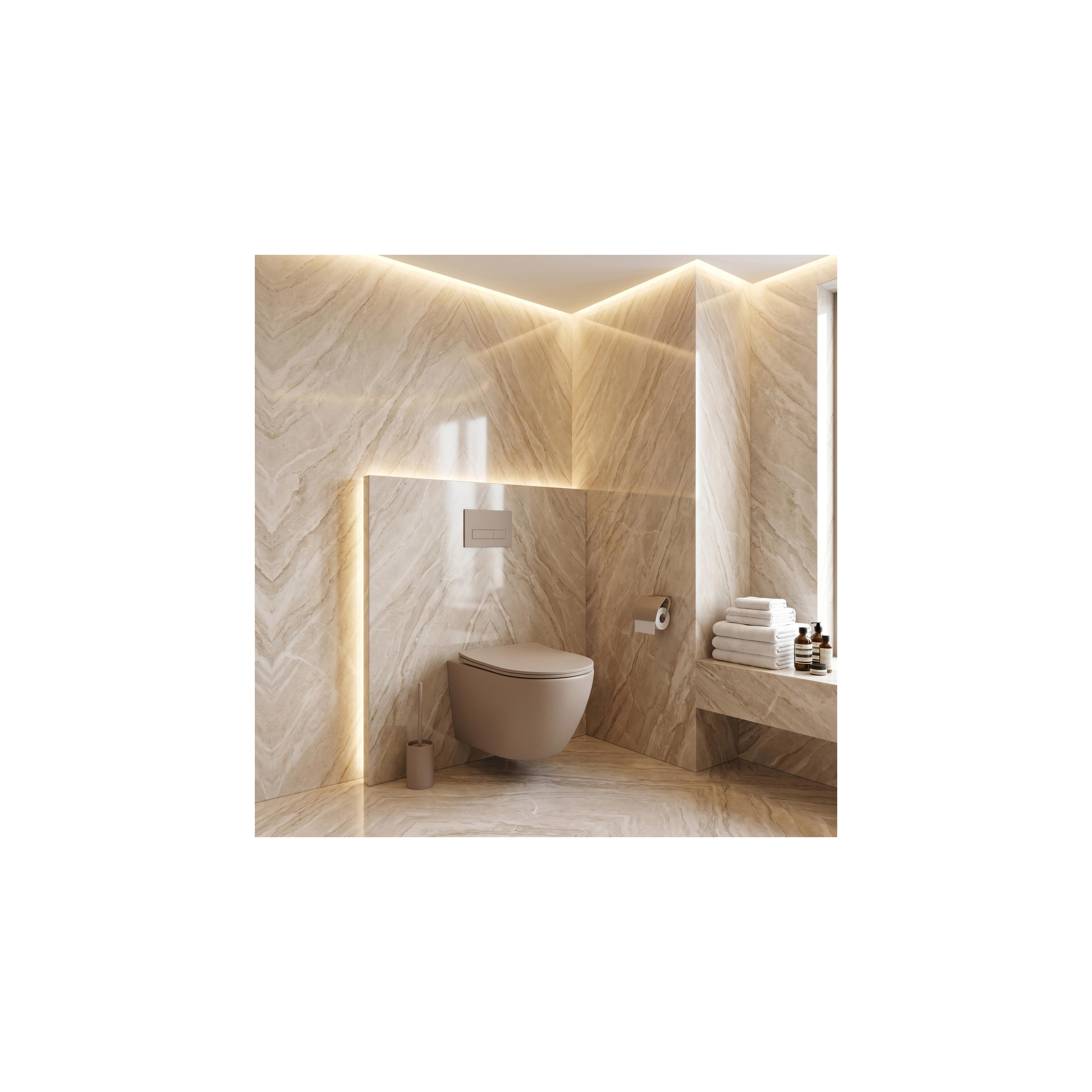 toilet bowl REA Focus Tornado Taupe