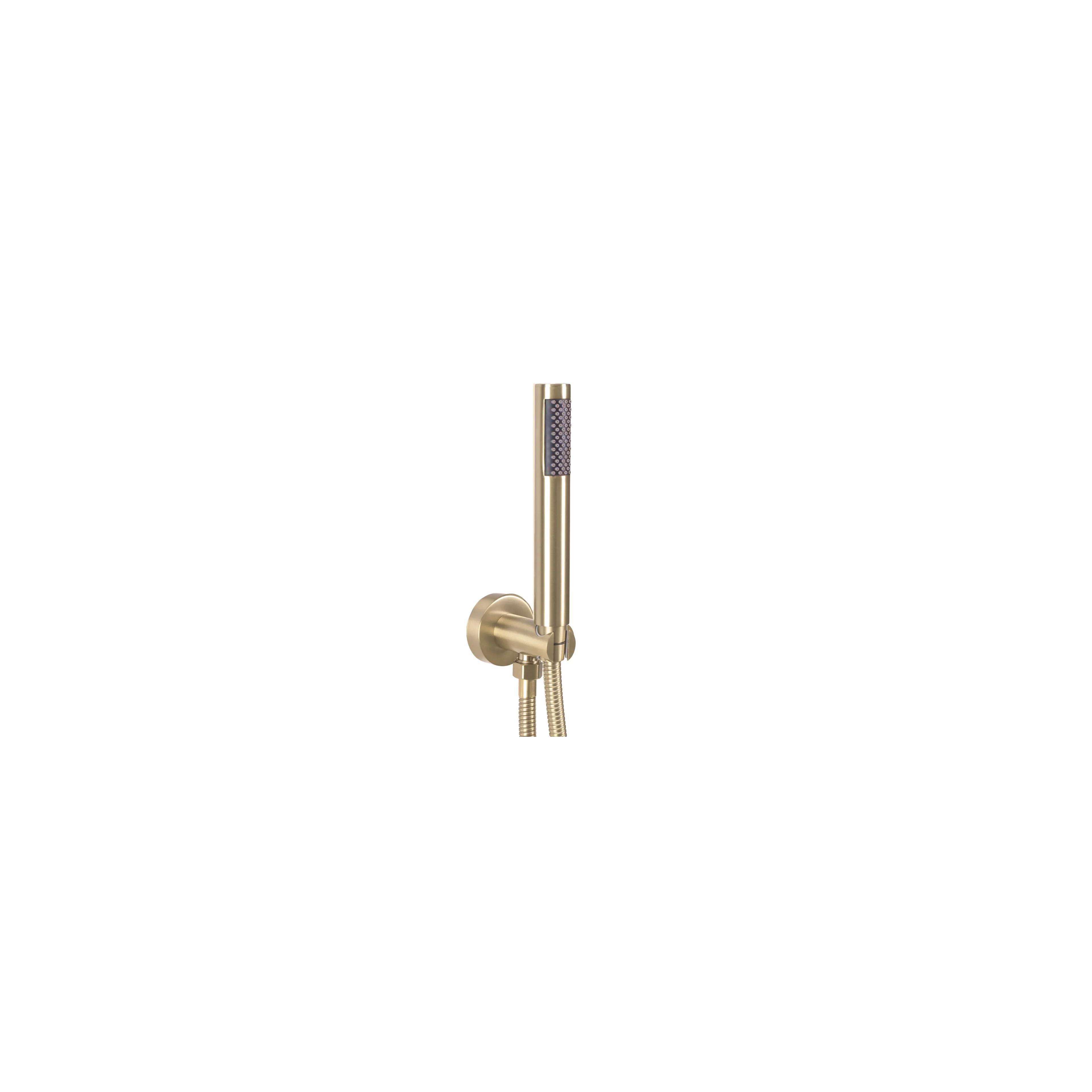 Komplet za tuširanje za vgradnjo Rea Argon Gold Brush  + BOX