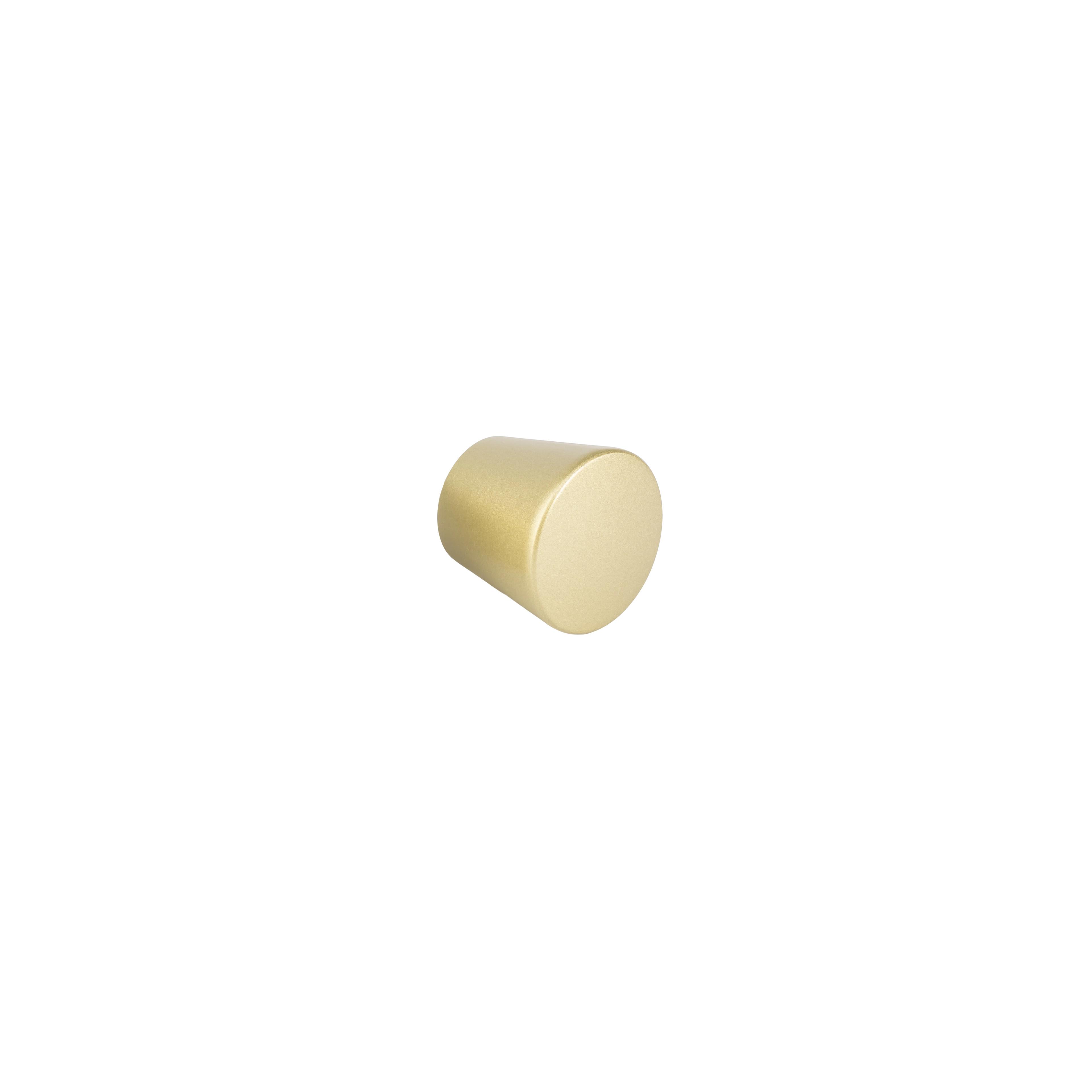Ručka za tuš vrata Rea 03 Brushed Gold