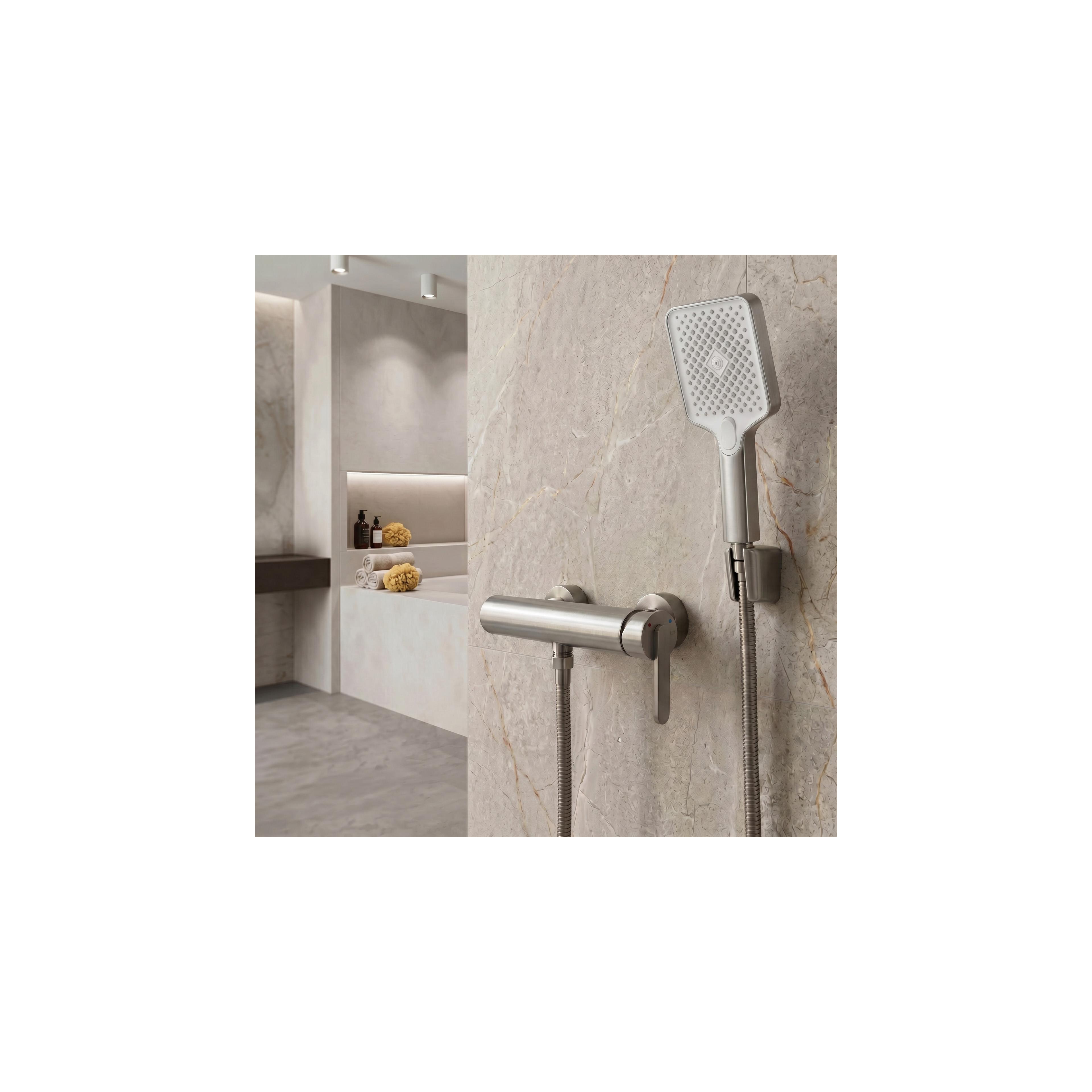 Handbrause BRUSH NICKLE