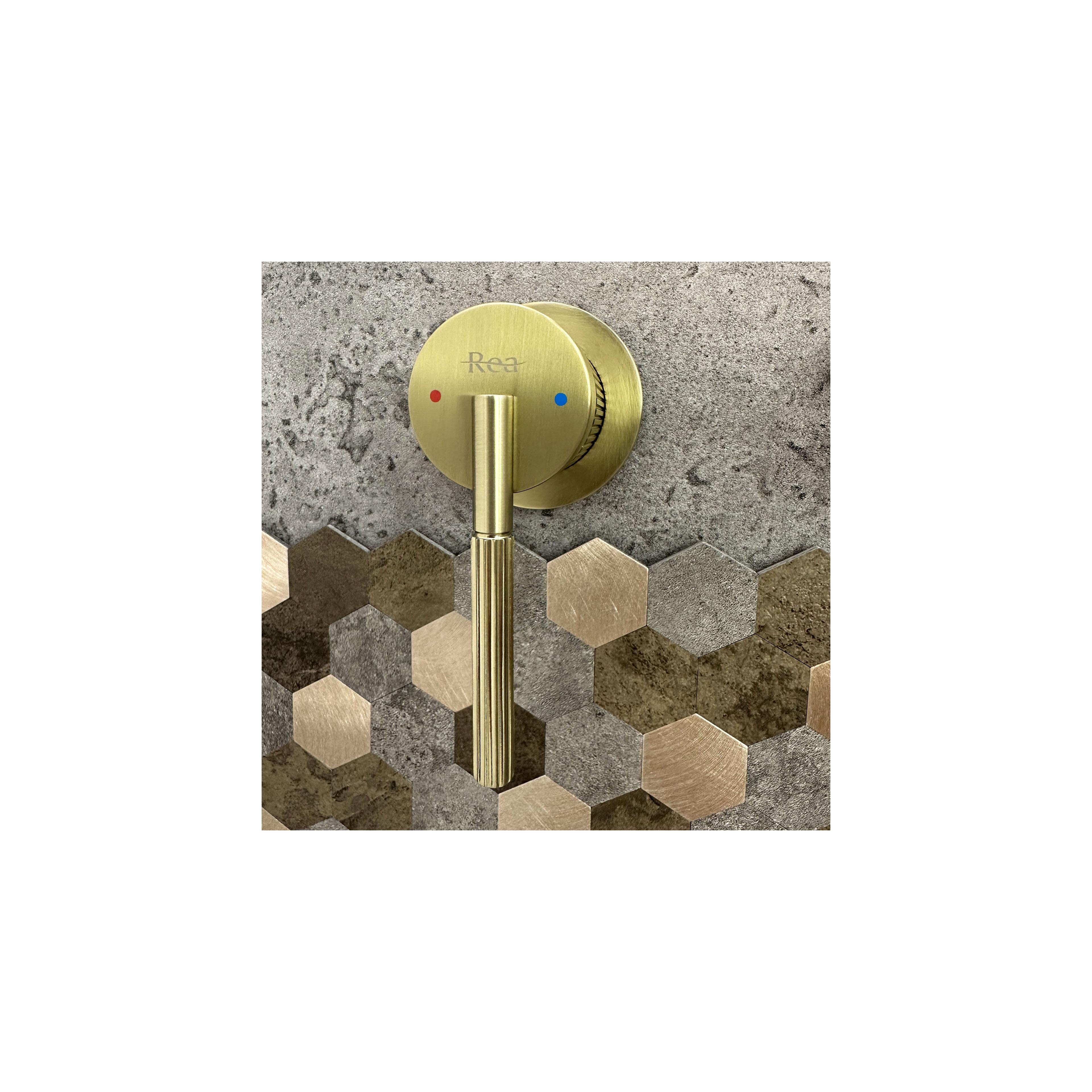 Inbyggd blandare Rea Argon borstat guld + BOX